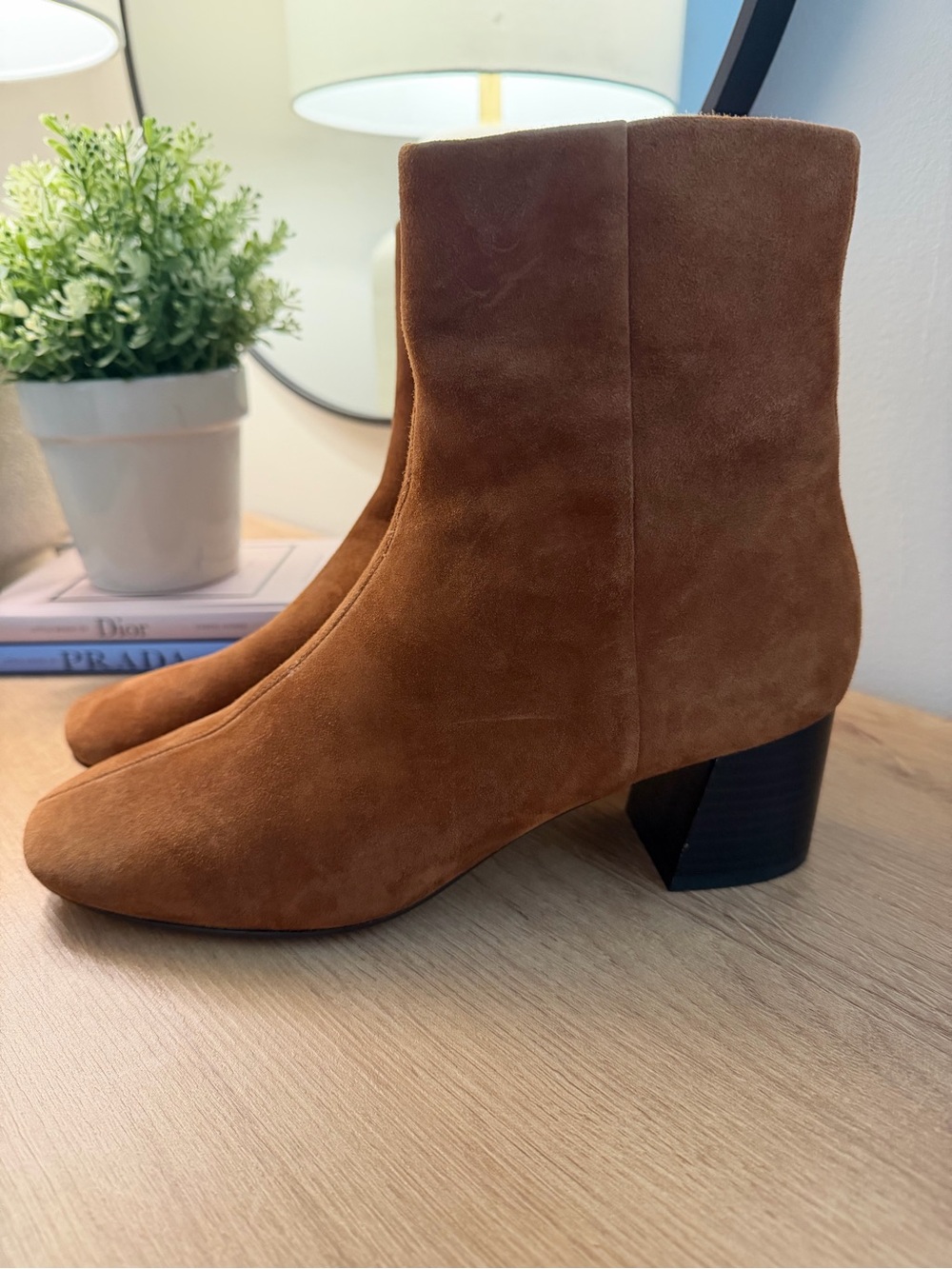 Everlane The Day Women's Suede Ankle Boots in Brown